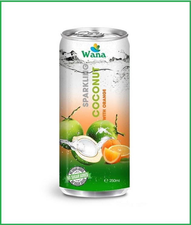 WANA COCONUT WATER 250 ML Alu