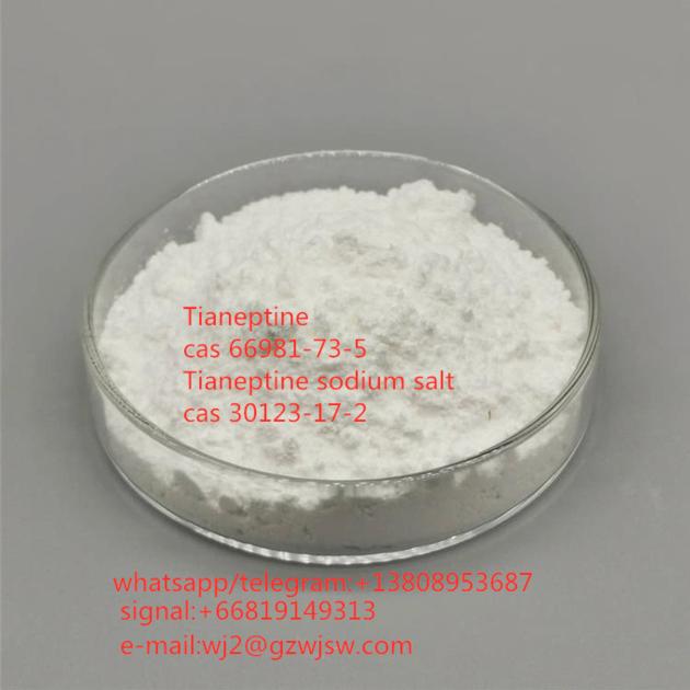 Manufactory Supply Tianeptin Powder CAS 66981-73-5 99% Tianeptine-Powder