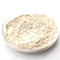 Factory Sale 100% Pure Beer Yeast Powder