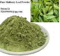 Pure High Quality Mulberry Leaf Powder 