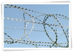 Barbed Wire