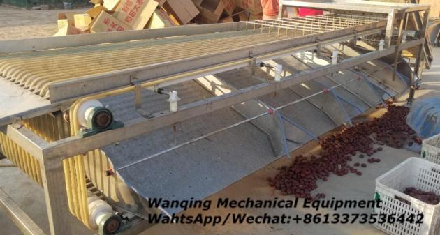 Apricot sorting machine cost performance is highest
