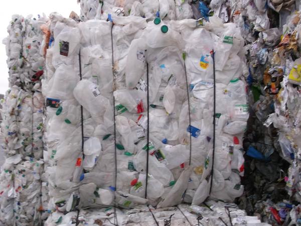 HDPE Milk Bottle SCrap