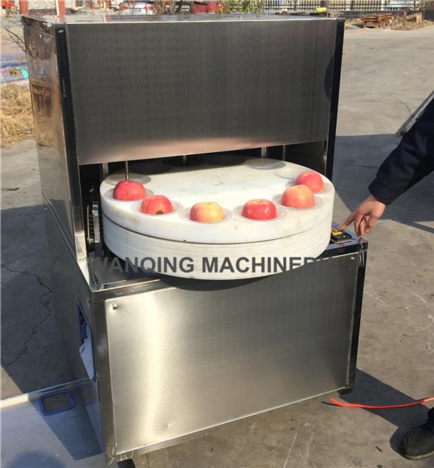 apple core-removing and petal-cutting machine
