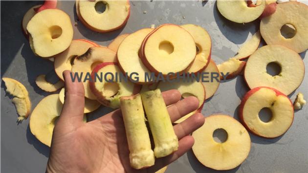 Apple Core Removing And Petal Cutting