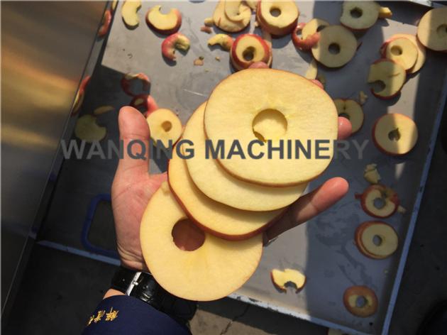 Apple Pitter And Slicer Remove Seed