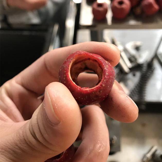 Hawthorn Slicer
