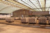 Drying chamber for clay brick making line 