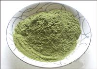  100% Pure Spinach Powder High in Quality Factory sale