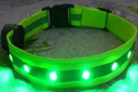 dog collar
