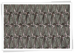Convery Belt Mesh