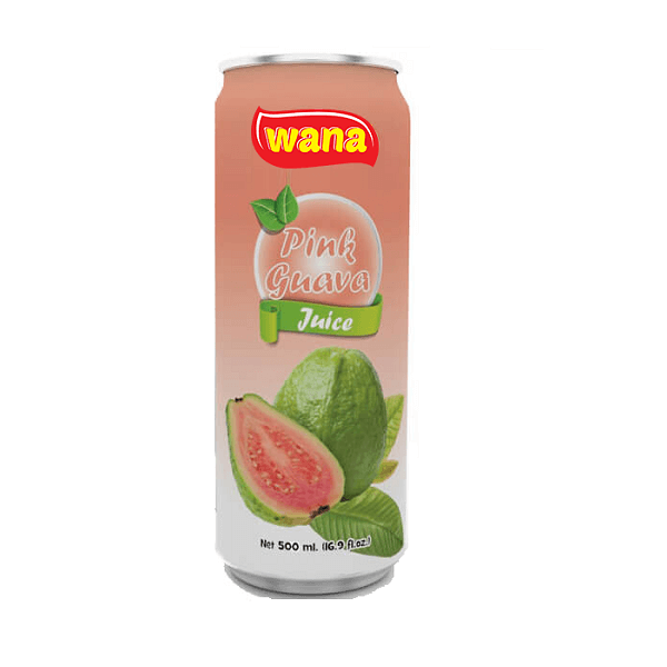 Best Mango Juice Factory In Vietnam