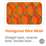 Hexagonal Wire Netting