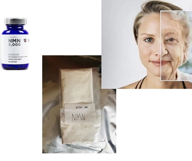 Anti Aging Nmn Nicotinamide Mononucleotide With