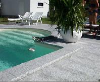 Pool covering