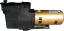 1HP~15HP swimming pool pre-filters pumps
