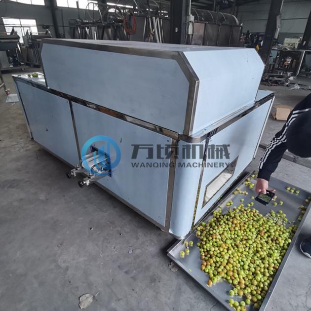 Jujube Olive Cherry Plum Pitting Machine