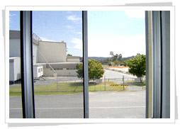 Windows Screening
