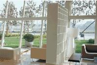 smart glass 