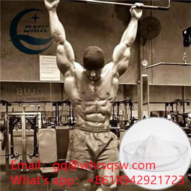 Testosterone for bodybuilding powder CAS:58-22-0