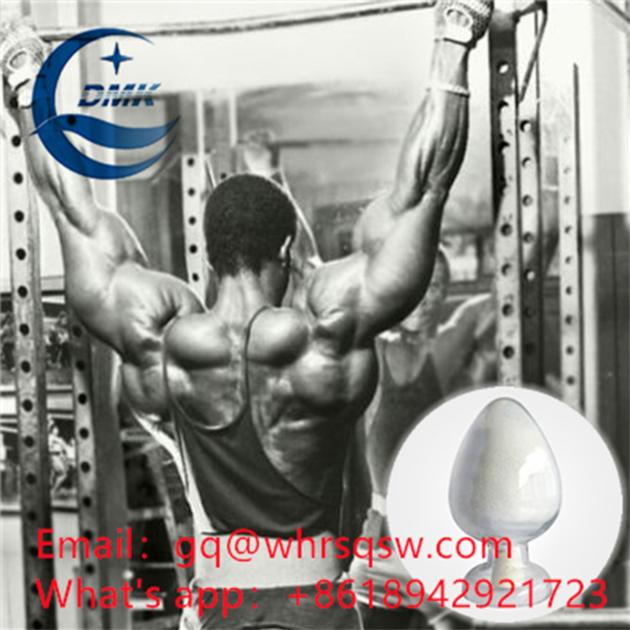 Whoesale Price for High Quality Testosterone Phenylpropionate powder for sale half-life cycle and Be
