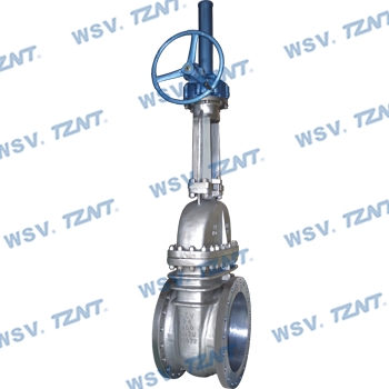 Alloy 20 gate valve