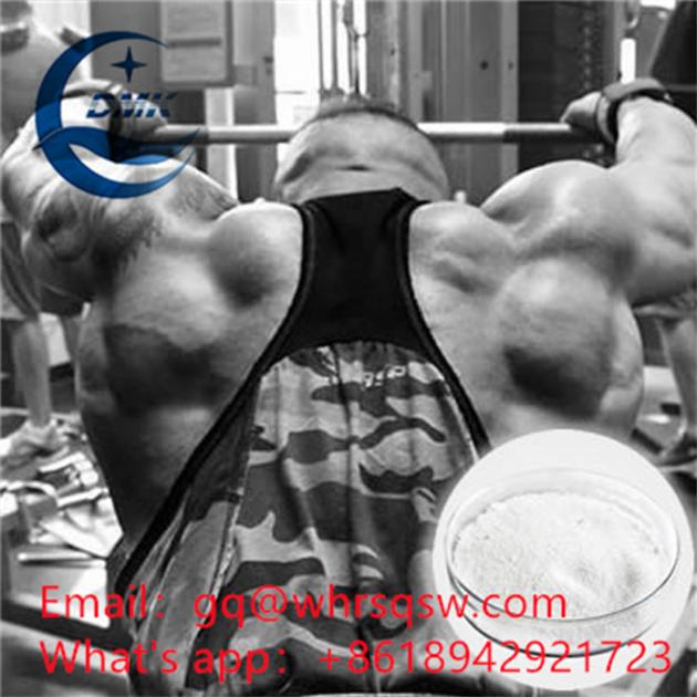  Testosterone isocaproate for bodybuilding  CAS : 15262-86-9