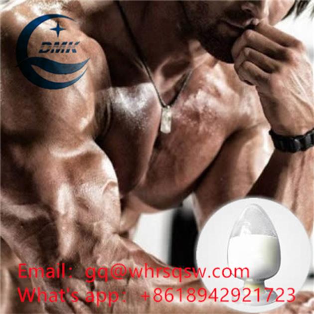 High quality Testosterone Undecanoate powder for bodybuilding  CAS:5949-44-0