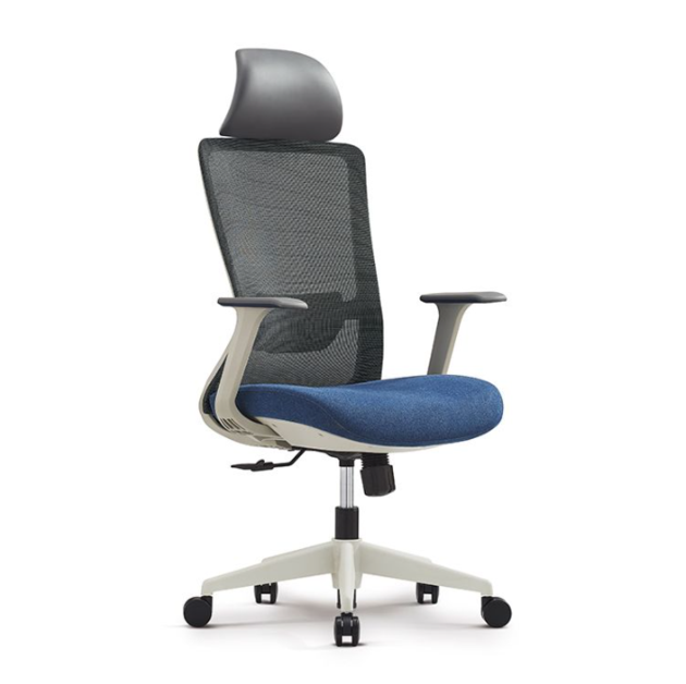 Office Ergonomic Chair H6258A     