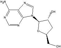 Cordycepin 98%