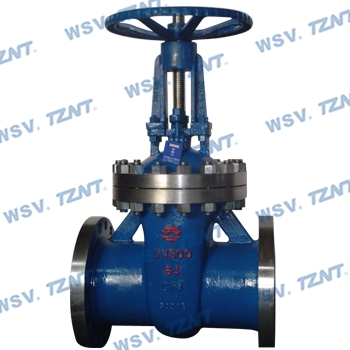 Stainless steel gate valve