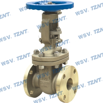 NAB C95800 gate valve