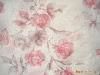 Sell T/C burn out fabric