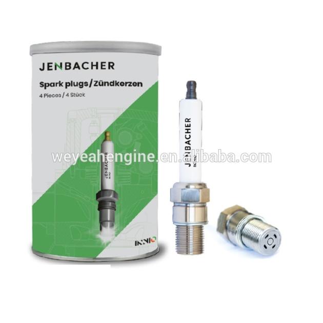 Spark plug P611/1236100 for JGS620 gas engine