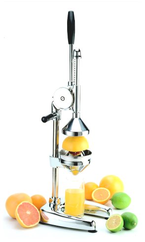 Professional Restaurant Juicer