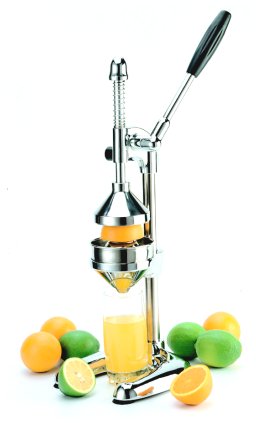 Restaurant Juicer