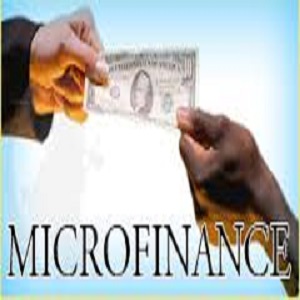 Micro Finance Software