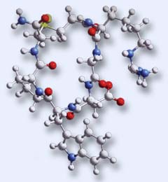 Fmoc-amino acid