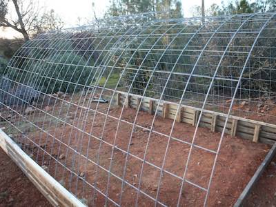 Welded Wire Cattle Panels