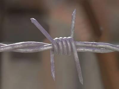 Barbed Wire