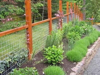 Hog Wire Fence