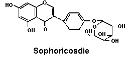 Sophoricoside 95%