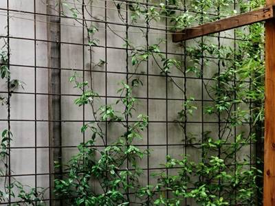 Welded Wire Cattle Panels