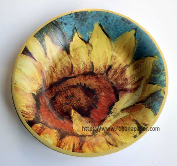 P1028 Colorful Printing Paper Plate