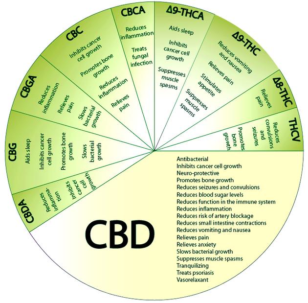 CBD Crystalline Powder 99 9 Pure