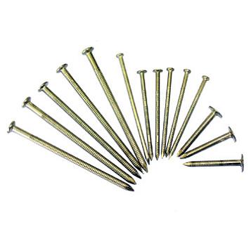 Stainless Nail
