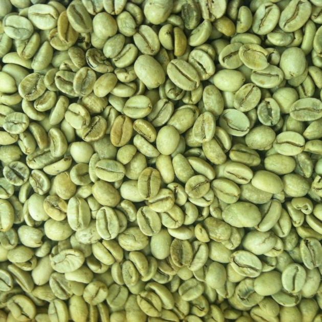 COFFEE BEANS: ROBUSTA & ARABICA GREEN 