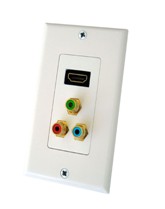 HDMI WALL PLATE