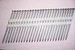 Hot Dipped Galvanized Strip Nail
