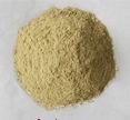 rice protein
